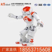 nao機器人, 學習機器人,智能機器人供應商