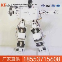 17由自度人形機器人, 智能人形機器人, 家居機器人供應商