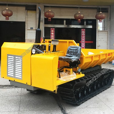 重型4T履帶運(yùn)輸車 可以涉水的履帶搬