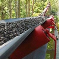 礦用尼龍輸送帶制造公司