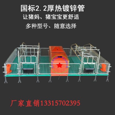 母豬產(chǎn)床批發(fā)雙體母豬產(chǎn)床常規(guī)60寬