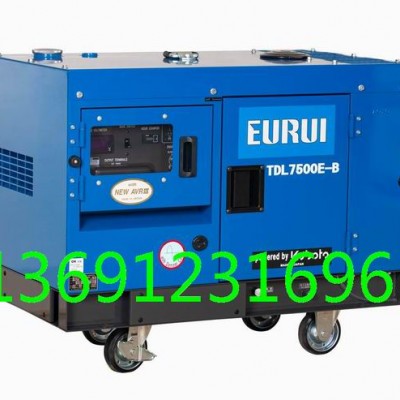 柴油發(fā)電機(jī)TDL7500E-B