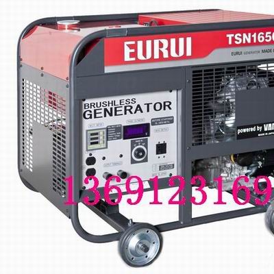 日本進口東洋發電機TSN16500E