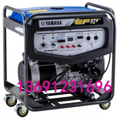 雅馬哈發電機EF13500TE