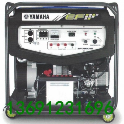雅馬哈發電機EF17000TE