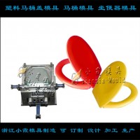 全自動馬桶蓋模具	馬桶蓋模具	智能馬桶蓋模具