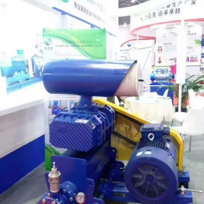 環保節能HG一體機羅茨風機