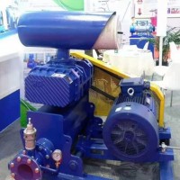 國產品牌瑞拓環?？萍家惑w機羅茨風機