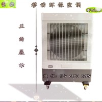 方便移動(dòng)式冷風(fēng)機(jī) 夏季降溫環(huán)?？照{(diào)節(jié)能省電