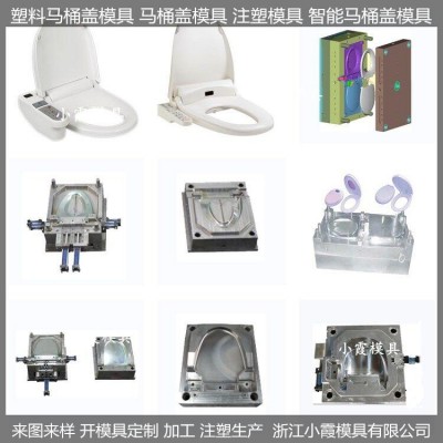 生產加工訂制塑料馬桶蓋模具