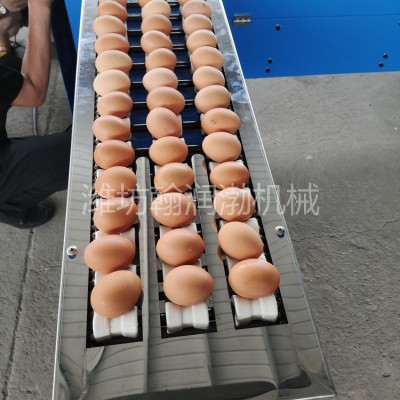 翰潤(rùn)渤FJJ-5型雞蛋分級(jí)機(jī) 蛋品重量