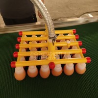 翰潤渤HRBSDQ-100型吸盤上蛋器 真空碼蛋器