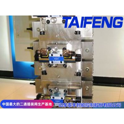 TAIFENG--二通插裝閥無頂缸廠家現貨