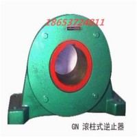 GN(DTIIN1)系列滾柱逆止器 GN型滾柱逆止器