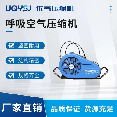高壓呼吸空氣壓縮機(jī)充氣泵 德國工藝